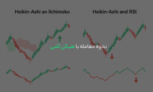 نحوه معامله با هیکن آشی | محدودیت‌های هیکن آشی