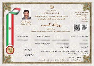 پروانه کسب در حوزه فعالیت آنلاین میلی گلد