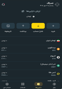 واریز و برداشت در صرافی صراف چگونه انجام میشود؟